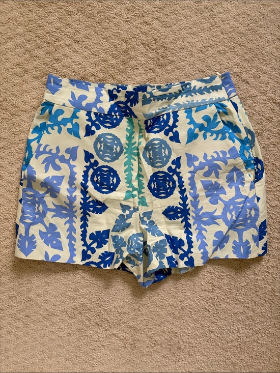 Zara Pants - Zara Blue and Cream Botanical Print Shorts